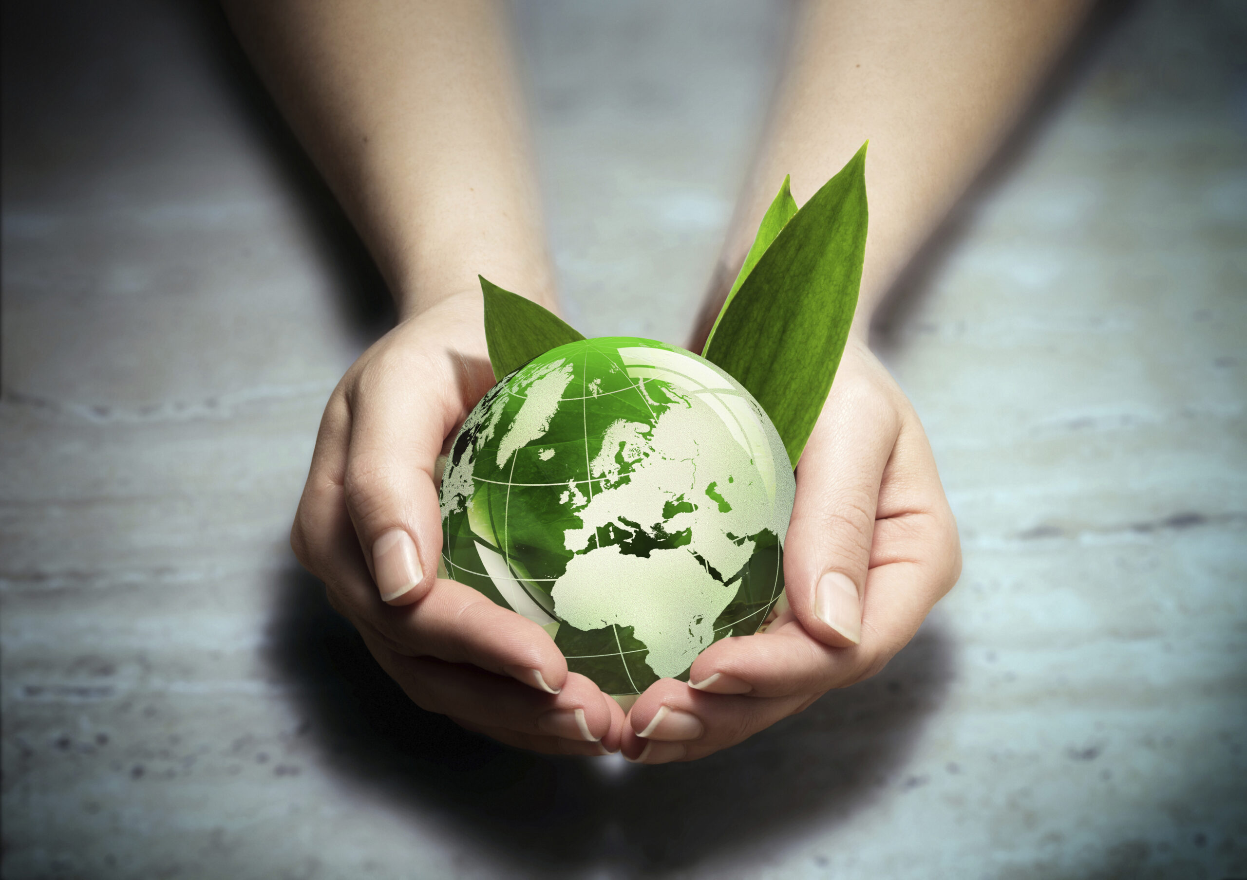 environment conservation concept - Europe